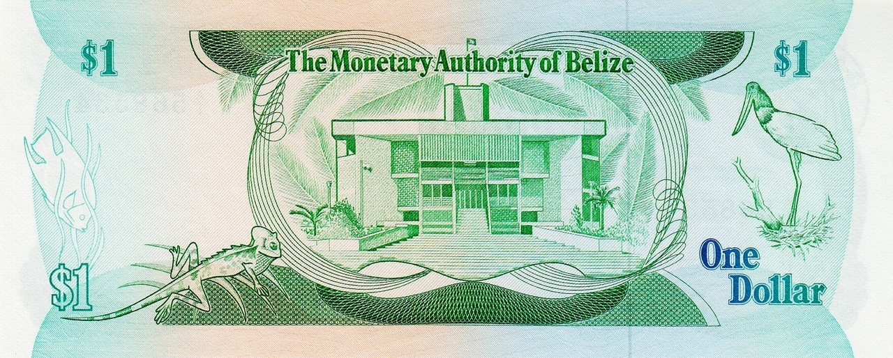 1 dollar