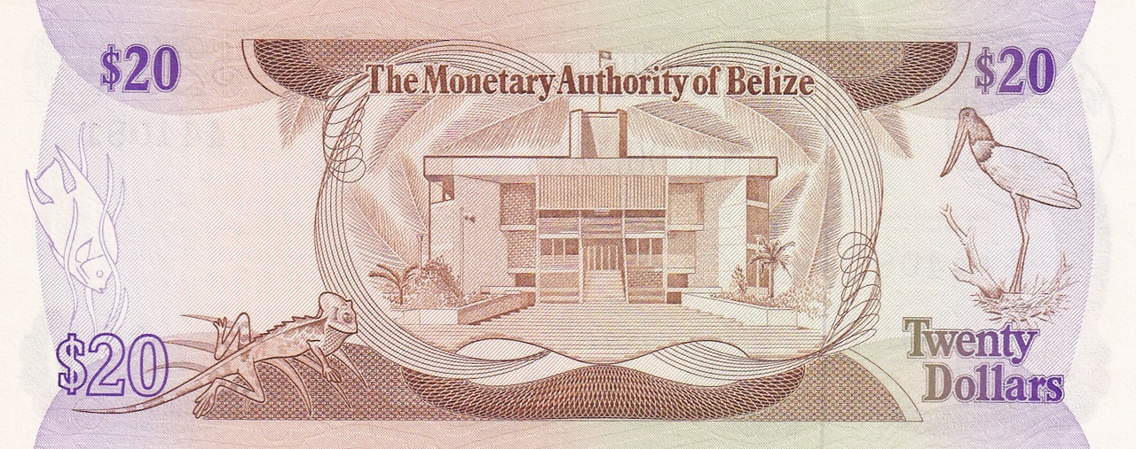20 dollars