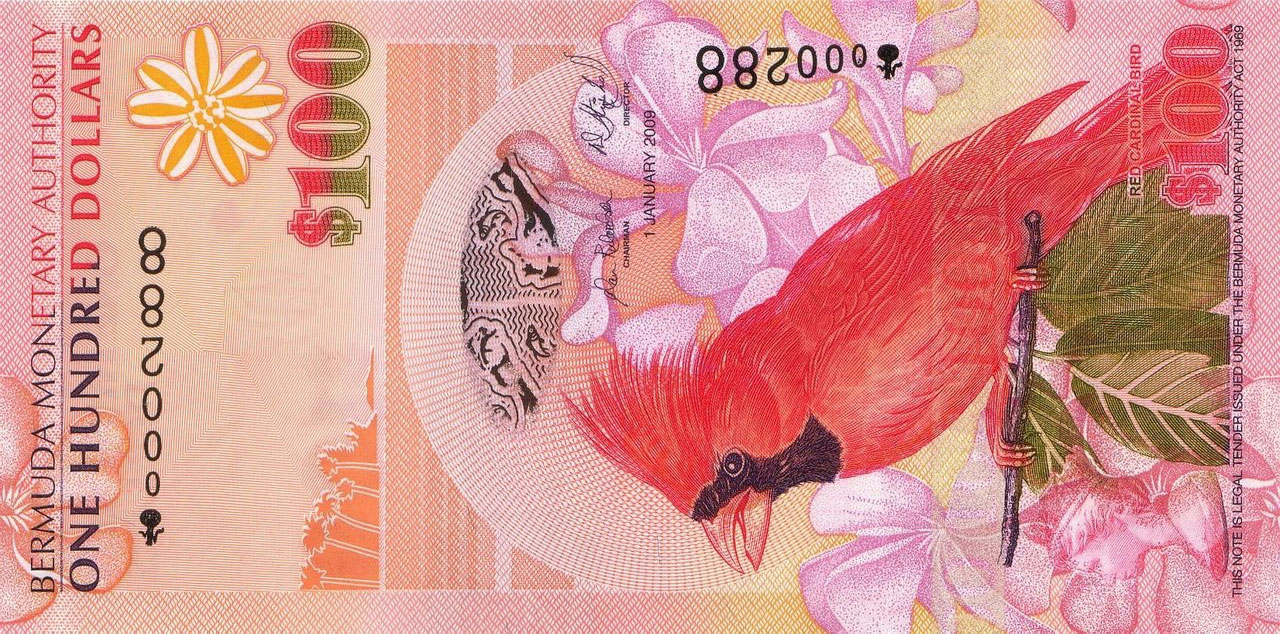 100 dollars