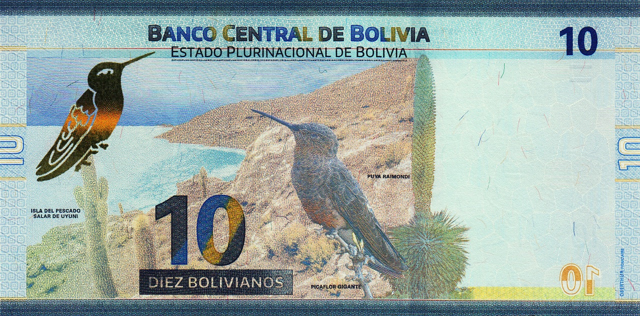 Bolivie 10 bolivianos verso