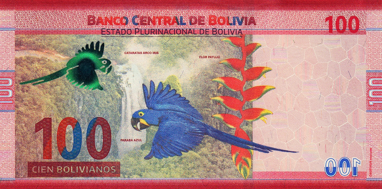 Bolivie 100 bolivianos verso