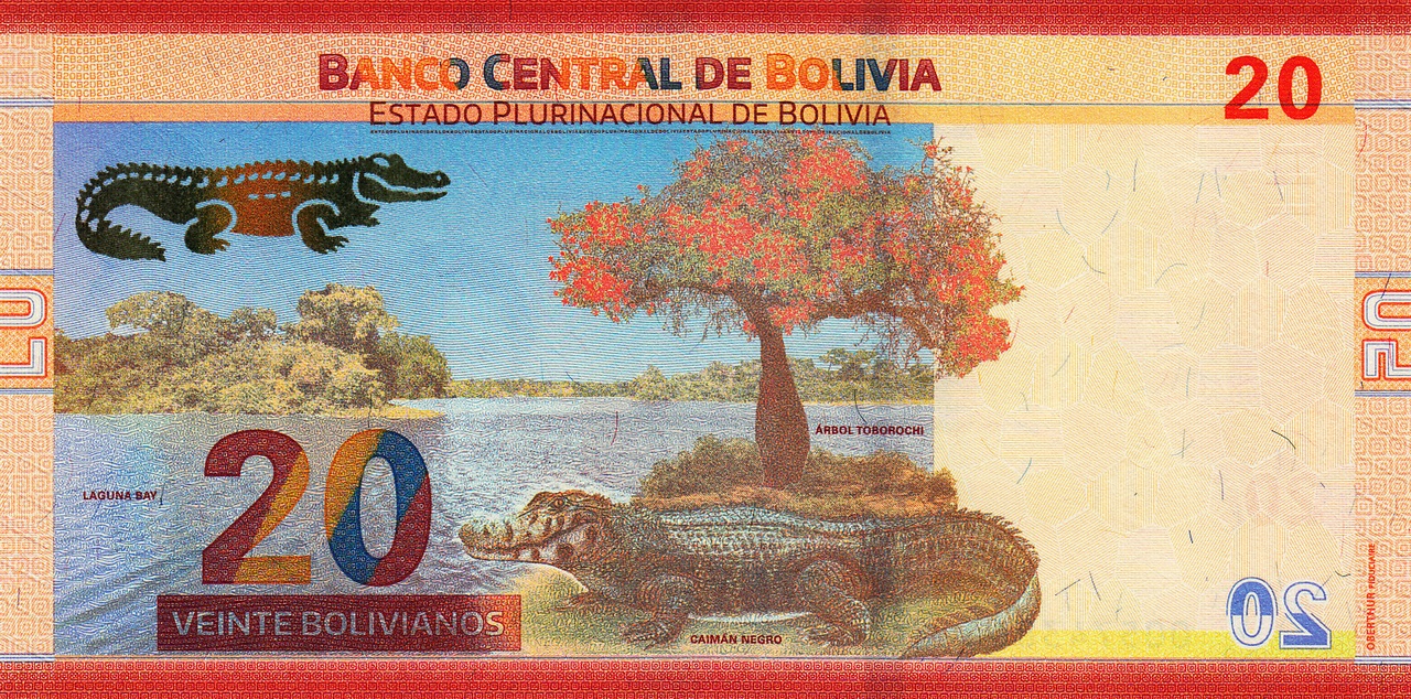 Bolivie 20 bolivianos verso