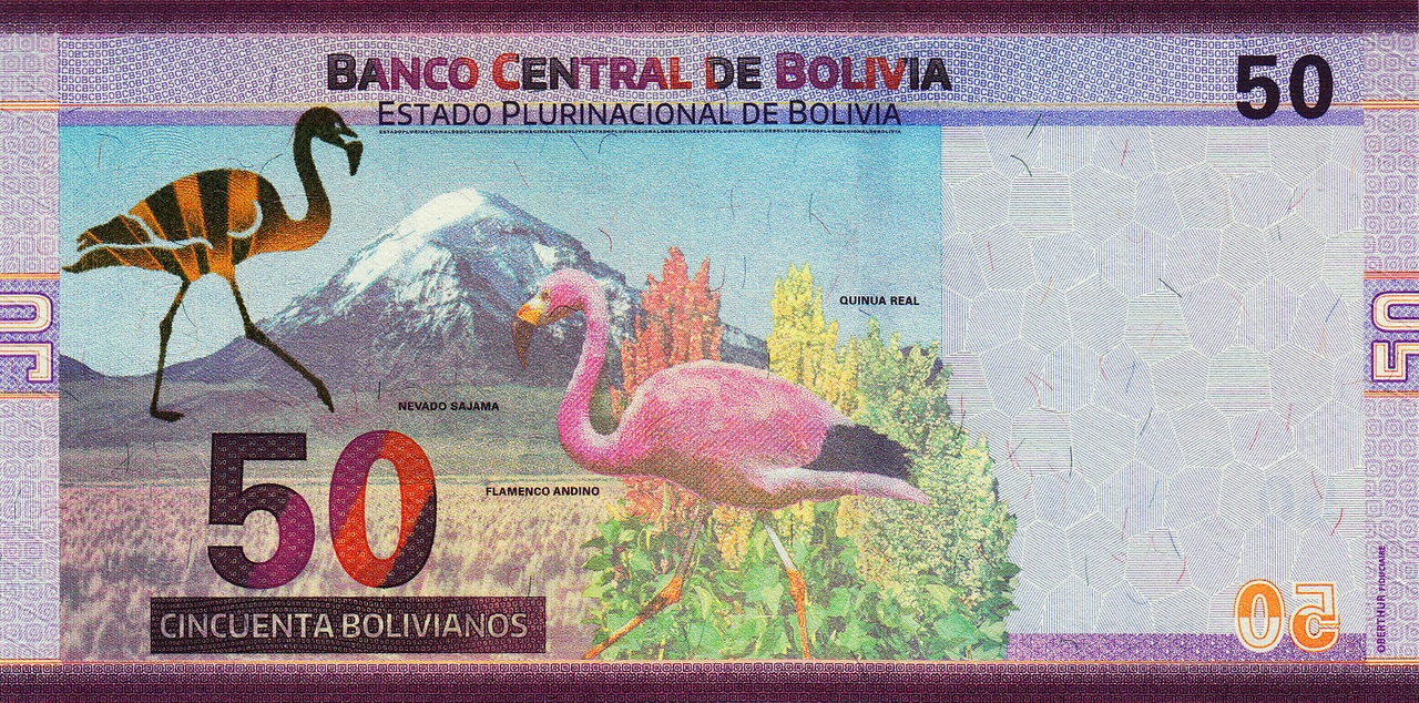 Bolivie 50 bolivianos verso
